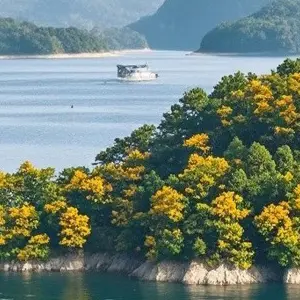 Thousand Island Lake: Unveiling China's Eastern Emerald Gem