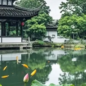 Tianyi Pavilion: The Timeless Repository of Eastern Wisdom