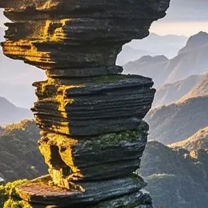 Fanjing Mountain: A Mysterious Haven Above the Clouds