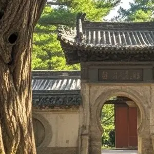 Song Yang Academy: Echoes of History in Zhengzhou