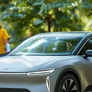 China's New Energy Vehicle Boom: Spring of Electric Cars