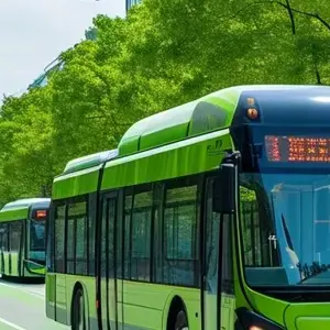 China's Urban Eco-Construction: Green Innovation Path