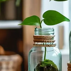 Circular Economy: A New Chapter in China's Waste Utilization