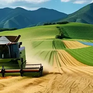 China's Rural Economy: Structural Transformation & Industry Upgrade