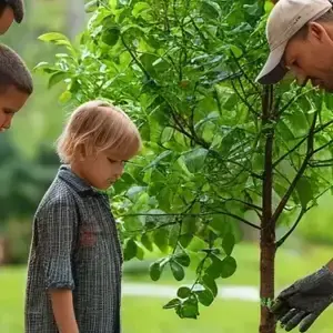 Green Living: Enhancing Environmental Awareness in China