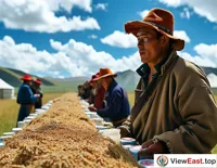 Under the blue sky and white clouds of the Qinghai-Tibet Plateau, herdsmen set up a long table outside their tents to celebrate the harvest with highland barley wine.