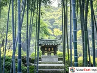The Purple Bamboo Grove in Putuoshan, tranquil and mysterious with swaying bamboo shadows.