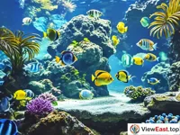 The mysterious underwater world at the Undersea World on Gulangyu Island.