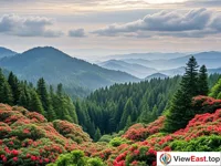 The sea of flowers at Huading National Forest Park at Tiantai Mountain.