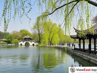 The vibrant spring atmosphere of the Long Causeway of Spring Willows at Slender West Lake in Yangzhou.