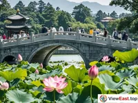 The lotus pond of Chengde Mountain Resort, where the stone bridge and lotus flowers display the charm of summer.