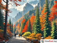 The autumn colors of Hongping Gallery Valley in Shennongjia, a symphony of red leaves and pine cypress. 