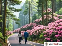 Azalea Flower Corridor Walk
