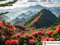 Red Azalea Sea of Dujuan Mountain