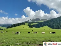Vast Grassland of Fairy Mountain