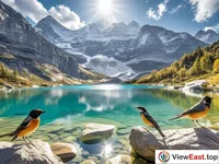 Milk Sea of Daocheng Yading Luminous and Lively