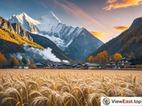 Golden Wheat Fields at Xianuoduoji of Daocheng Yading