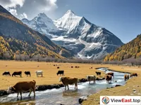 Luorong Pasture of Daocheng Yading Serene and Majestic