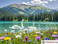 Blooming Wildflowers and Graceful Swans at Kanas Lake in Summer