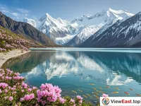 Spring Rhododendrons at Ranwu Lake Clear Waters and Melting Snow