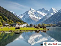 Peaceful Afternoon at Pangcuo Lake Idyllic Pastoral