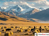 Bayanbulak's Golden Grasslands in Autumn Harvesting Season
