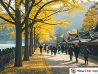 Autumn at Dujiangyan's Ginkgo Path, Rich Autumn Vibes