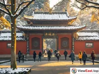 Warm Sun at Wuhou Shrine in Winter