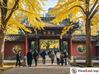 Golden Ginkgo at Wuhou Shrine