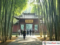 Bamboo Grove Light at Wuhou Shrine