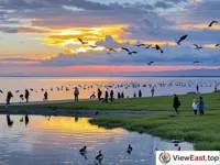 Qinghai Lake's Bird Island at Sunset