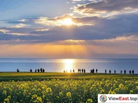 Sunrise over Qinghai Lake with Rapeseed Flowers