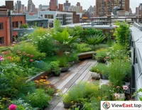 Urban Rooftop Garden