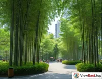 Urban Bamboo Grove Green Leisure