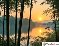 Harmony of Bamboo and Lake