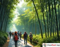 Bamboo Eco-Tourism Fresh Air Journey