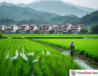 Harmonious Rural Ecology