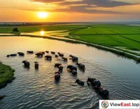 Harmony of Wetland and Agriculture