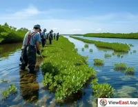 Wetland Restoration in Action