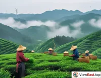 Eco-Tea Garden with Natural Scenery