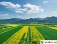 Eco-Agriculture with Drone Fertilization